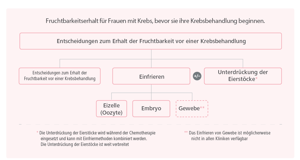 Optionen zur Erhaltung der Fruchtbarkeit