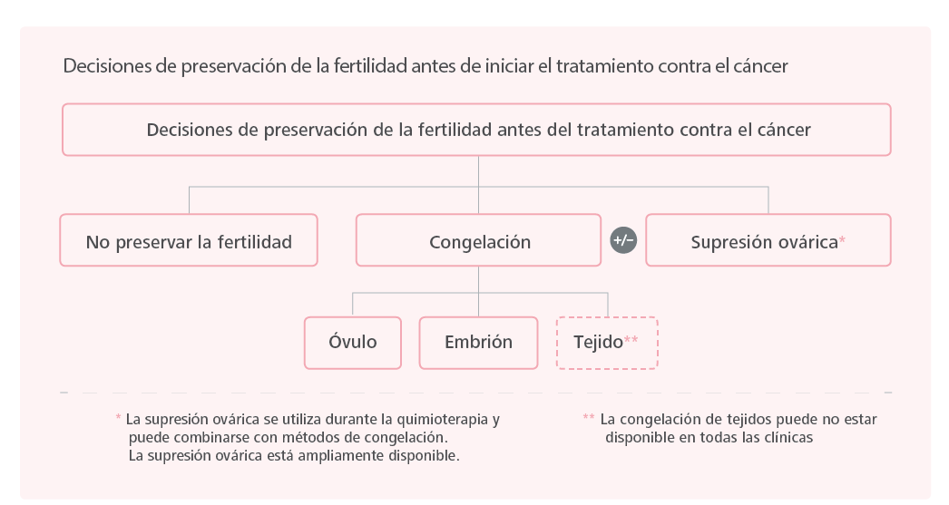 Opciones de preservación de la fertilidad